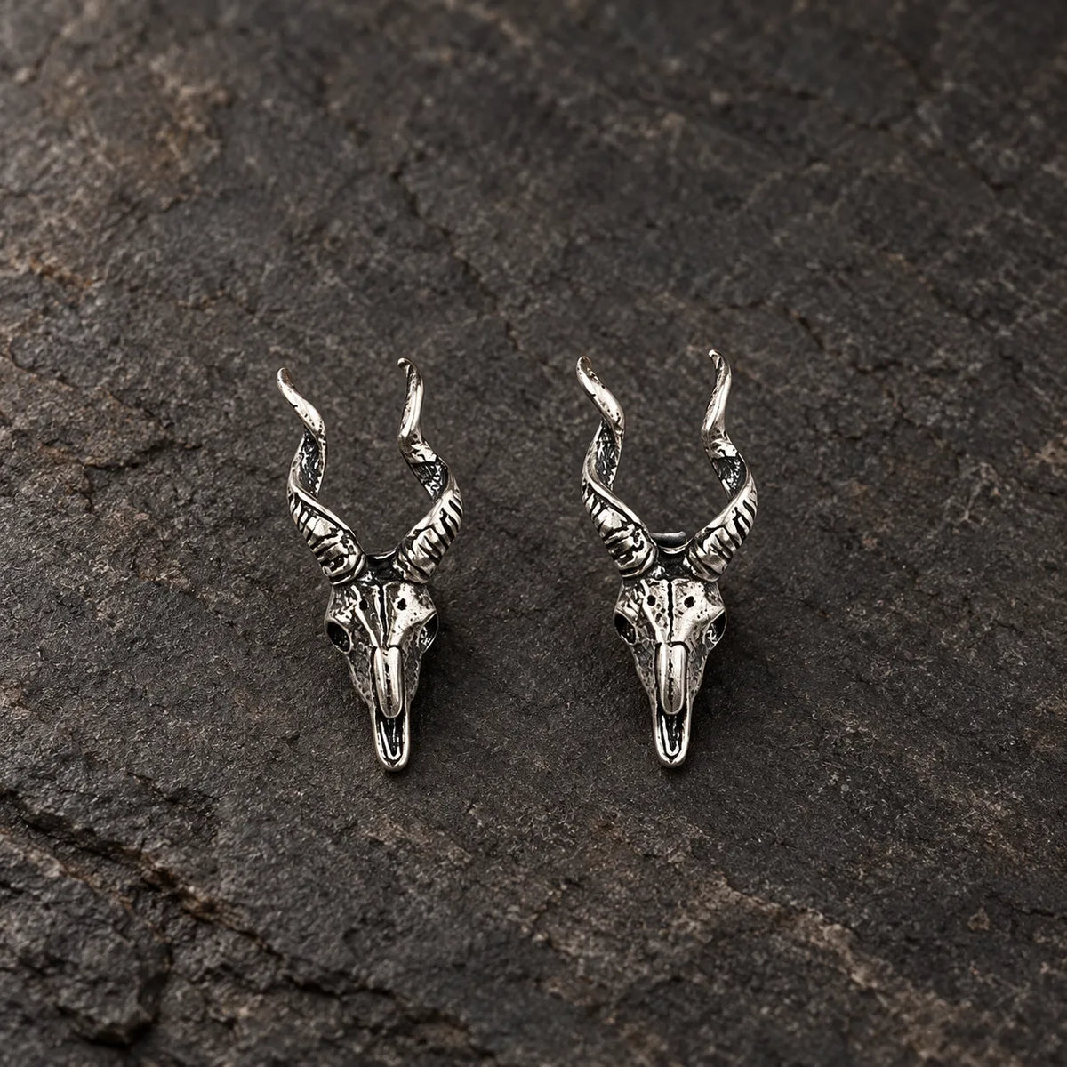 Pair of oxidized sterling silver twisted horn skull stud earrings on dark stone